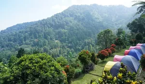 Tempat Wisata Ini Cocok Banget Buat Liburan Keluarga! Bisa Camping dan Melakukan Aktivitas Luar Ruangan yang Seru Abis