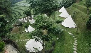 Dijamin Anak-anak Happy di Tempat Wisata Ini! Bisa Glamping , Trekking Dikelilingi Pohon Pinus hingga Main Sama Kelinci dan Domba