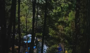 Gak Akan Nyesel Deh Liburan di Tempat Wisata ini Bareng Keluarga! Viewnya Dikelilingi Keindahan Hutan Pinus Serta Banyak Aktivitas Alam yang Seru
