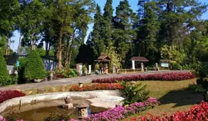 Viewnya Dipenuhi Bunga Bermekaran dan Perkebunan Teh! Banyak Aktivitas Seru Membuat Tempat Wisata Ini Cocok Buat Liburan Keluarga
