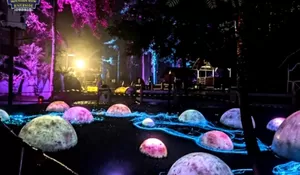 Ternyata Ada Tempat Wisata Malam Viral di Puncak! Bisa Menjelajahi Dunia Penuh Kilauan Cahaya Warna-warni yang Serasa Masuk ke Negeri Dongeng