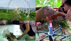 Tempat Wisata Super Lengkap di Bogor! Bisa Main di Wahana Anak Hingga Ekstrim, Berinteraksi dengan Hewan, Bahkan Ada Wahana Salju loh