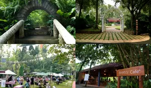 Ternyata Ada Tempat Wisata di Jakarta yang Bisa Nikmati Petualangan Melintasi Hutan Bambu dan Mini Zoo!