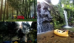Tempat Camping di Bogor Ini Cantik Banget, Viewnya Pohon Pinus yang Sejuk Abis! Bisa Langsung Berenang di Curug Juga loh