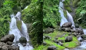 Curug Ini Lokasinya di Pinggir Jalan Tapi Miliki Air Terjun yang Keren Abis! Tiket Masuknya Juga Masih Gratis