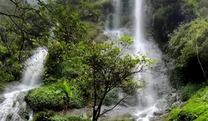 Curug Tersembunyi yang Unik di Subang! Keindahan Bebatuan ditambah Air Terjunnya yang Jernih Dijamin Bikin Terpesona