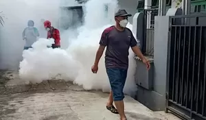 Angka DBD di Depok Terus Meningkat, Ini Data Terbarunya 