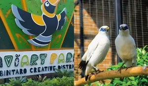 Tempat Wisata Baru di Tangerang Ini Cocok Banget Buat si Kecil! Bisa Interaksi dengan Berbagai Satwa dan Banyak Aktivtas Seru