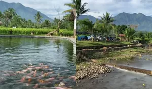Cobain ke Tempat Wisata Ini, Bisa Camping Unik Pinggir Sungai, Ada Kolam Renang dari Sumber Mata Air, Bahkan Berenang di Kolam yang Ada Ikannya!