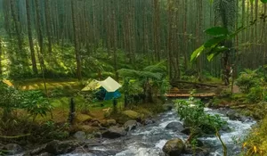 Ternyata di Sumedang Ada Tempat Camping yang Layaknya Negeri Dongeng! View Pepohonan dan Rerumputan Hijaunya Bikin Sejuk Abis