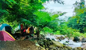 Pasti Belum Tau Tempat Wisata Kece di Sentul Ini! Asik Banget Tempatnya, Bisa Camping Pinggir Sungai dan Berenang di Kolam Renang Alaminya