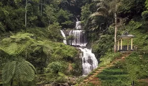 Duh, Rugi Kalau Enggak Berenang, Tempat Wisata Air Terjun di Sumedang Ini Airnya Jernih dan Seger Banget
