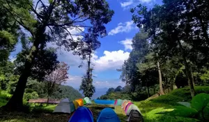 Rekomendasi 5 Tempat Camping Kids Friendly di Bogor yang Bisa Jadi Destinasi Long Weekend Nih Bareng Keluarga!