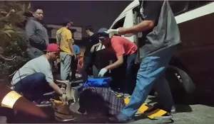 Pria di Depok Tewas Mendadak dalam Angkot, Korban Langsung Terdiam Usai Melintas di Jembatan Panus