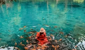 Tempat Wisata Majalengka Punya Nih! Sajikan Danau Jernih yang dan Bisa Nikmati Sensasi Berenang Bareng Ikan