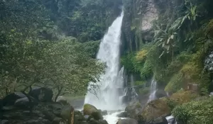 Curug Tersembunyi Garut Ini Miliki Udara Sejuk dan Pemandangan Indah Air Terjun Ketinggian 45 Meter, Akan Cocok Buat Healing!