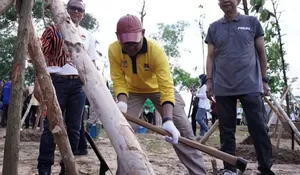 Hari Terakhir APEKSI 2024 di Balikpapan, Wakil Walikota Depok Imam Budi Hartono Tanam Pohon : Kembangkan Konsep Kota Hijau