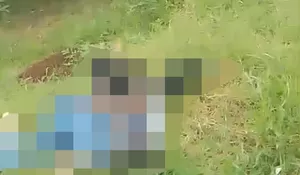 Keluarga Korban Perundungan di Depok Minta Pelaku Dihukum : Sudah Diperiksa Polisi