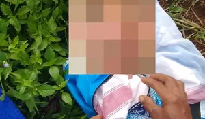 Tega Banget, Bayi Ganteng Ini Dibuang di Kebun Bambu Tajurhalang : Masih Ada Ari-ari