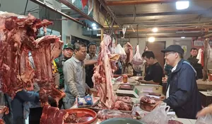 Harga Daging Sapi di Depok Tembus Rp130 Ribu Perkilogram, Disdagin Kota Depok : Itu Normal Harga Pasaran