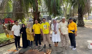 7 Sapi Kurban Golkar Depok Disalurkan ke Masyarakat, 3 Ekor dari dr Ririn Farabi Arafiq