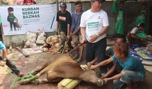 Berkah Baznas Depok Salurkan 410 Paket Daging Kurban