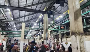 Target Retribusi RPH Depok Naik, jadi Segini