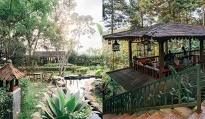 Nuansa Alam di Cafe Ini Membuat Nongkrong Tambah Bikin Betah Deh, Apalagi Tempatnya Buka 24 Jam!