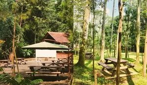 Cafe Viral Bogor yang Gratis Berenang Sepuasnya, Free Kopi dan Ngasih Makan Hewan, Cocok Banget Nih Untuk Nongkrong Bareng si Kecil!