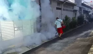 Temuan DBD di Depok : Kasus Menurun, Kematian Meningkat, Berikut Data Lengkapnya 