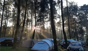 Bisa Rasain Sensasi Healing Nyaman Tengah Hutan di Tempat Camping Ini, Dijamin Suasanaya Bikin Betah Banget!