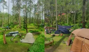 Tempat Camping di Tengah Sejuknya Hutan Pinus Lembang, Cocok Buat Liburan Bareng Keluarga!