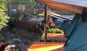 Glamping Tenda Pinggir Sungai dan Dikelilingi Pohon Pinus Ini Sejuk Banget, Cocok Buat Liburan atau Staycation!