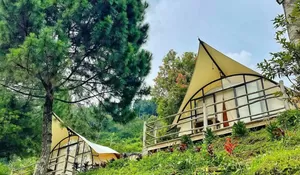 Glamping Puncak Nih Bos! Punya View Cakep, Suasana Nyaman Akan Membuat Staycation Semakin Berkesan