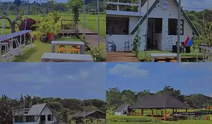 Gak Perlu Jauh-jauh, Ternyata Ada Tempat Nongkrong dengan Dikelilingi Persawahan Indah di Kota Bogor!