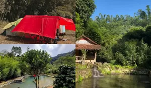 Hidden Gem di Kaki Gunung Takuban Perahu, Sajikan Tempat Camping di Tengah Hutan Bambu yang Sejuk dan Syahdu!