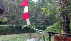 Gimana Suasanyanya Gak Asri dan Sejuk, Tempat Camping Ini Tersembunyi di Kaki Gunung Gede Pangrango!