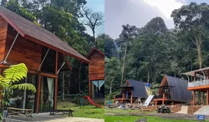 Tempat Healing yang Dikelilingi Pepohonan Rindang yang Sejuk, Serasa Menginap di Rumah Pohon!