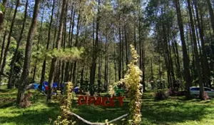 Tempat Camping Ini Masih Asri Banget, Dikelilingi Hutan dan Dekat Dengan Pinggir Sungai yang Membuat Suasana Tenang dan Syahdu!