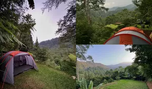 Tempat Camping Tersembunyi di Kawasan Gunung Gede Pangrango yang Memiliki Suasana Tenang dan Asri!