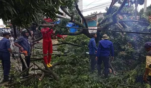 Sepanjang 2024 Damkar Depok Lakukan 784 Evakuasi, Begini Rinciannya