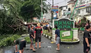 DLHK Depok Pangkas Pohon Rentan Tumbang 