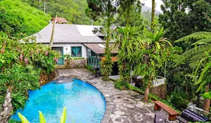 Ada Hidden Villa Puncak yang Viewnya Dikelilingi Pepohonan yang Syahdu Banget, Serasa Lagi di Negeri Dongeng!