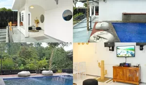 Kapan Lagi? Ada Villa Puncak yang Harganya Mulai Rp 1 Jutaan dan Dekat dengan Perkebunan Teh Ini!