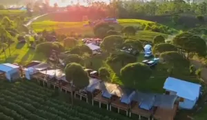 Glamping Deck di Tempat Camping Ini Emang Syahdu Abis, Langsung Disuguhi Hamparan Kebun Teh!