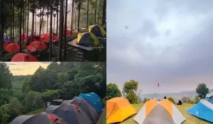 Dipenuhi Pepohonan Rindang yang Sejuk dan Tenang, Membuat Tempat Camping Ini Bakalan Seru Jadi Destinasi Liburan Bareng Keluarga!