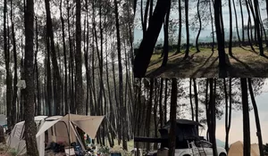 Nikmati Liburan Akhir Tahun Tanpa Ribet di Tempat Camping Syahdu di Tengah Hutan Pinus!