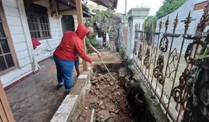 Ngeri! Warga Abadijaya Depok Diteror Ular Kobra : Damkar Evakuasi 35 Anak Kobra