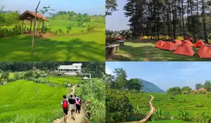 Jadikan Liburan Akhir Tahun Semakin Berkesan dengan Nikmati Aktivitas Alam yang Seru dan Tenang di Hutan Hujan Sentul!