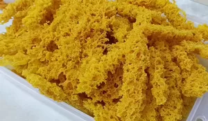 Cuma Pakai 1 Jenis Tepung Sudah Bisa Buat Kremesan Ayam Anti Gagal yang Renyah dan Bersarang!